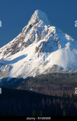 Washington Mt da Washington Mt Viewpoint, McKenzie Pass-Santiam Pass National Scenic Byway, Deschutes National Forest, Oregon Foto Stock