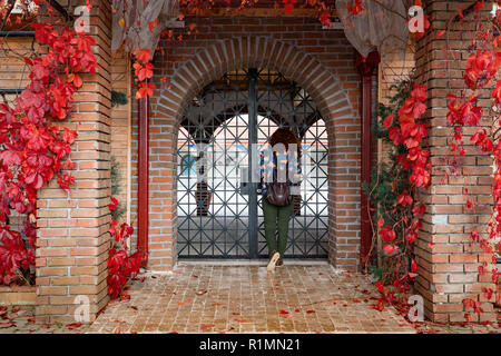 Ragazza cerca all'interno dagli elementi decorativi in ferro ad arco gateway tramite il mattone porta ad un giardino con decorate maiden uve (Virginia) del superriduttore in autunno Foto Stock