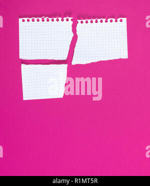 Vuoto strappato il foglio bianco in una casella su un sfondo rosa, un pezzo mancante Foto Stock