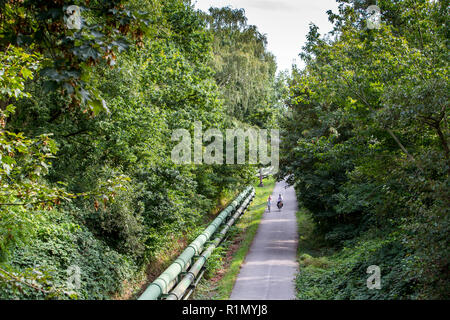 Pista ciclabile a nord di Essen, ex linea ferroviaria, Germania Foto Stock