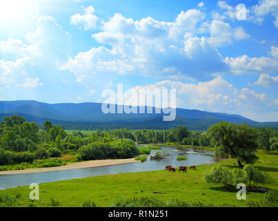 Estate paesaggio con fiume montagne e cavalli Foto Stock