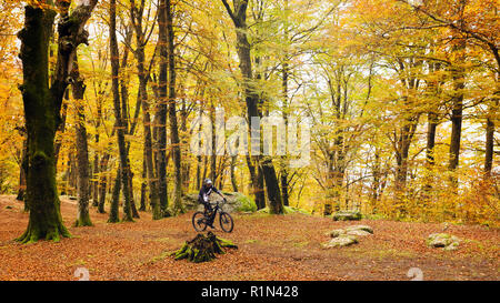 Soriano del Cimino (VT), Italia - 11 Novembre 2019: un ragazzo su una mountain bike passa attraverso un sentiero nel bosco di faggio. Sullo sfondo gli alberi e Foto Stock