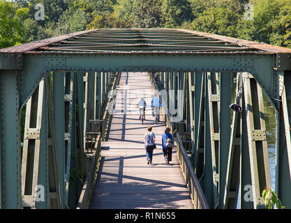 Ruhrtalradweg, Valle della Ruhr ciclabile, ex ponte ferroviario sulla Ruhr, Lago Baldeneysee in Essen, ciclo e percorso pedonale, Germania Foto Stock