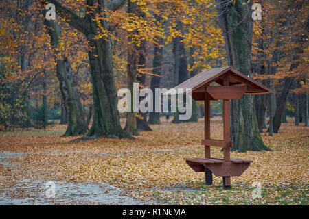 Parco Szczytnicki in autunno Wroclaw Bassa Slesia Polonia Foto Stock