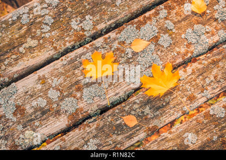 Composizione d'autunno. Telaio realizzato in autunno le foglie essiccate su legno scuro dello sfondo vintage. In autunno, la caduta dello sfondo. Appartamento laico, vista dall'alto, spazio di copia Foto Stock