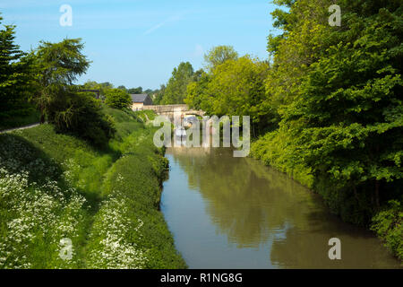 Un tranquillo tratto di Kennet and Avon Canal come passa attraverso Devizes town, Wiltshire, Inghilterra, Regno Unito Foto Stock