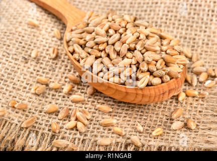 Cucchiaio colmo di chicchi di grano di close-up su tela Foto Stock