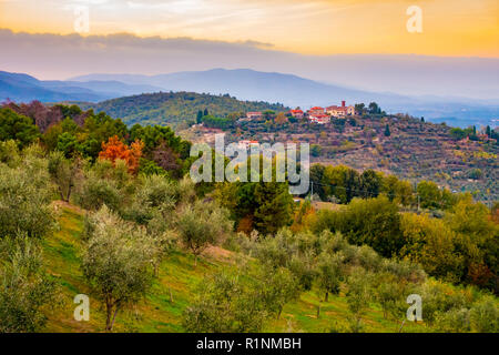 Vista tramonto sulle colline coperte di olivi intorno a Cavriglia in autunno, Toscana, Italia Foto Stock