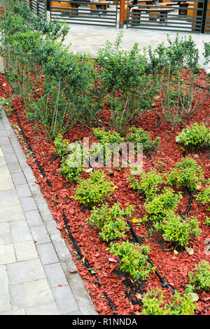 Giardino e giardinaggio - Mulching piante in vaso con corteccia di pino  contro le erbacce Foto stock - Alamy