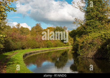 Canal alzaia, autunno, tarda estate, Staffordshire e Worcestershire canal, UK, vicino a Wolverhampton Foto Stock