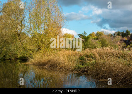 Canal alzaia, autunno, tarda estate, Staffordshire e Worcestershire canal, UK, vicino a Wolverhampton Foto Stock