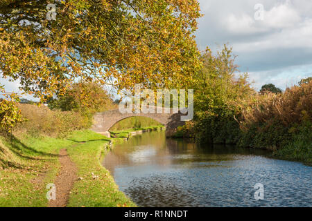 Canal alzaia, autunno, tarda estate, Staffordshire e Worcestershire canal, UK, vicino a Wolverhampton Foto Stock