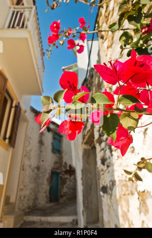 Strade strette e case bianche della città di Skopelos in mattinata estiva, isola di Skopelos, Grecia Foto Stock