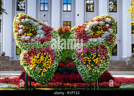 Giardino verticale. Farfalla di fiori nella parte anteriore del palazzo dell'Università.Liepāja - Liepaja, regione di Kurzeme, Lettonia, Paesi baltici, Europa Foto Stock