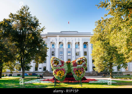 Farfalla di fiori nella parte anteriore del palazzo dell'Università.Liepāja - Liepaja, regione di Kurzeme, Lettonia, Paesi baltici, Europa Foto Stock