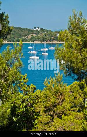 Barche a vela presso la baia di fronte la spiaggia Koukounaries, mattina all' isola di Skiathos, Grecia Foto Stock