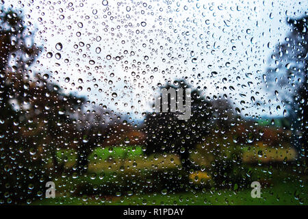 Gocce di pioggia sulla finestra di vetro contro la scena del giardino con il cielo luminoso e prato Foto Stock
