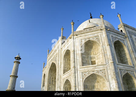 Ornati in pietra dura (intarsio di marmo) decora il Taj Mahal, il marmo bianco mausoleo costruito dall imperatore Mughal Shah Jahan in Agra, India Foto Stock