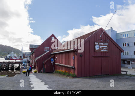 Museo polare in Tromso, Norvegia Foto Stock