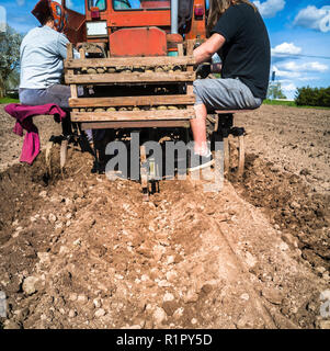 Nonna e nipote di piantare patate con un trattore sul campo in e inizio giornata di primavera con il sole che splende su di essi Foto Stock