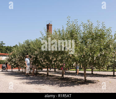 Yoko Ono, desiderio di alberi per Wanås, 2011 presso la Fondazione Wanås. Per solo uso editoriale. Foto Stock
