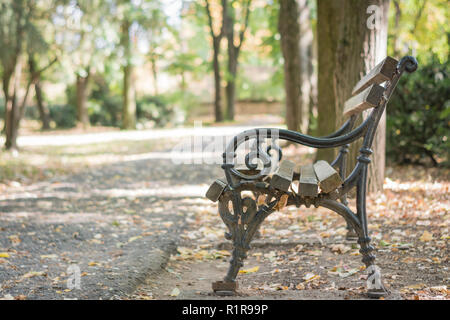 In legno banco vuoto in autunno park e colorati caduta foglie e alberi e paesaggio autunnale Foto Stock