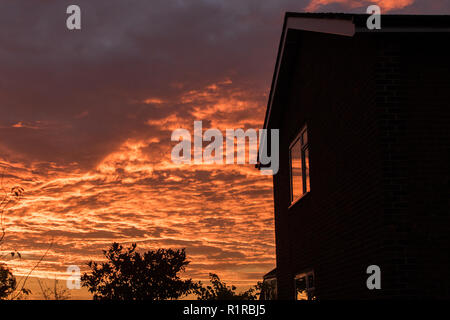 Londra REGNO UNITO. Il 14 novembre 2018. Regno Unito: Meteo stagliano case contro un sunrise a Wimbledon con arancione e rosa skies Credito: amer ghazzal/Alamy Live News Foto Stock