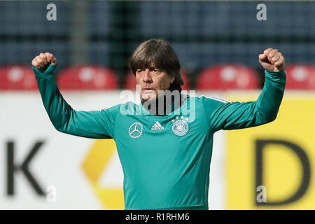 Leipzig, Germania. Xiv Nov, 2018. Calcio: Germania, finale la formazione della squadra nazionale prima che la partita internazionale contro la Russia (15.11.) in Red Bull Academy di Lipsia. Allenatore nazionale Joachim "" Jogi Löw conduce la formazione. Credito: Jan Woitas/dpa-Zentralbild/dpa/Alamy Live News Foto Stock