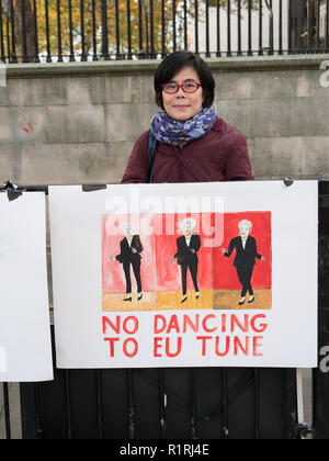 Londra, Regno Unito. 14 novembre 2018. Uno dei dimostranti pro-Brexit di fronte a Downing Street nel 10. Credit: Joe Kuis / Alamy Live News Foto Stock
