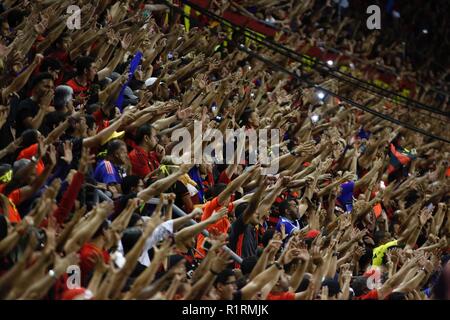 Recife, Brasile. Xiv Nov, 2018. PE - Recife - 14/11/2018 - un brasiliano 2018, Sport Recife vs. Vitoria - BA - Sport cheerleader nella partita contro il Vitoria in Ilha do Retiro stadium per il campionato brasiliano a 2018. Foto: Paulo Paiva/AGIF Credito: AGIF/Alamy Live News Foto Stock