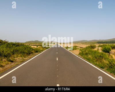 Infinite, solitario strada diritta attraverso il deserto dell'altopiano Paul da Serra in Madeira, Portogallo Foto Stock