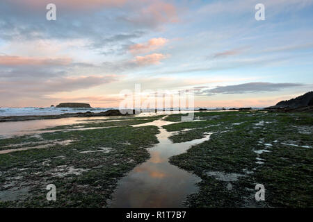 O02381-00...OREGON - Le nuvole riflettono in pozze di marea di sunrise a Devil's Conca Stato Area naturale vicino a Newport. Foto Stock