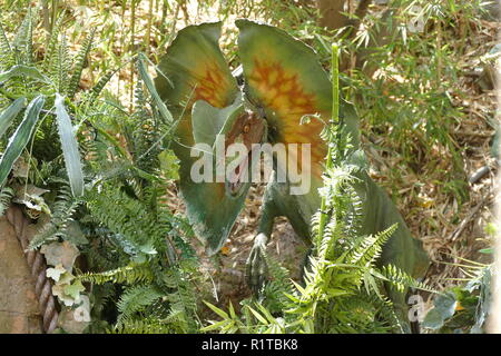 Il modello di lavoro del Dilophosaurus sul jurassic park ride, gli Universal Studios di Los Angeles, California, U.S.A. Foto Stock