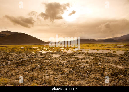 Crosta di sale sulla riva della laguna e salt lake Tuyajto ad una altitudine di 4300m, Altiplano (alto altopiano andino), los Flamencos riserva nazionale, Atac Foto Stock
