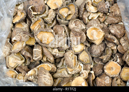 Funghi secchi sui mercati occidentali della Hong Kong, Sheung Wan, Isola di Hong Kong, Hong Kong, Cina Foto Stock