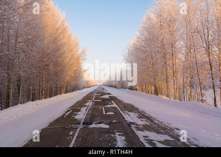 Coperta di neve alberi lungo una strada di campagna. Attraverso la strada coperta di neve alberi Foto Stock