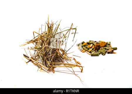 Il fieno e mangime per roditori su uno sfondo bianco 2018 Foto Stock