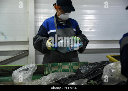 Rifiuti manuale linea di smistamento al misti rifiuti di impianto di trasformazione in Astrakhan, Russia Foto Stock