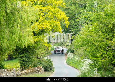 Automobilista la guida 1961 British realizzato Alvis TD21 serie DHC 1 drophead ooupe classic car sul paese lane in Cotswolds, Inghilterra Foto Stock