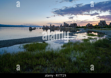 Vista del lago Mono in California orientale della Sierra Nevada a sunrise con erba verde in primo piano Foto Stock