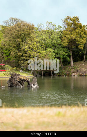 Le tartarughe marine sulla pietra Houraijima isolotto e il legno ponte giapponese Togetsukyo sullo stagno del parco Rikugien nel quartiere Bunkyo, a nord di Tokyo. Il p Foto Stock