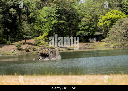 Tartarughe sull'isolotto di pietra Houraijima sullo stagno del parco Rikugien nel quartiere Bunkyo, a nord di Tokyo. Il parco fu creato all'inizio della 18 Foto Stock