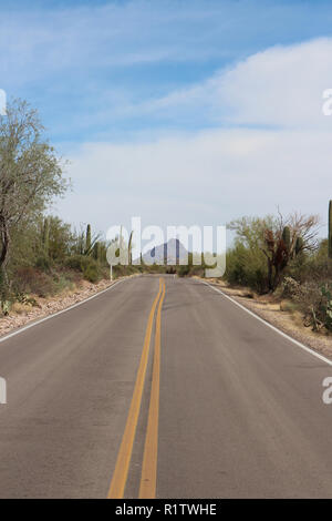 La guida verso il basso Kinney Road nel Parco nazionale del Saguaro occidentale con una varietà di cactus che costeggiano la strada, Tucson, Arizona, Stati Uniti d'America Foto Stock