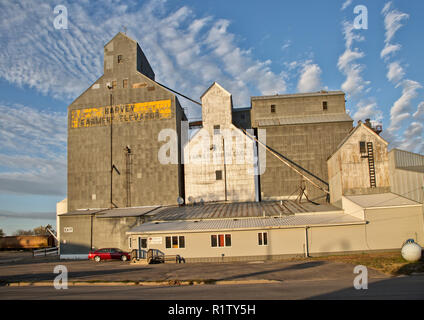 Harvey "allevatori ascensore' & il vecchio "Farmers Union' ascensore a destra, Early Morning Light, Harvey, North Dakota. Foto Stock