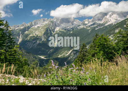 Vista da Vrsic pass nel Parco Nazionale del Triglav, Slovenia. Foto Stock