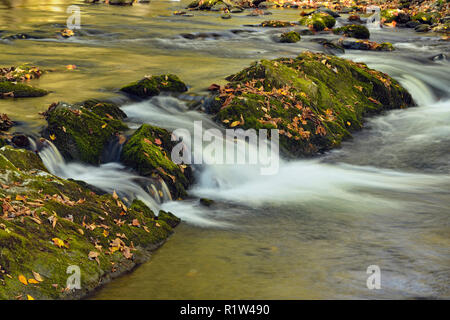 E cascata nel piccolo fiume (Elkmont), il Parco Nazionale di Great Smoky Mountains, Tennessee, Stati Uniti d'America Foto Stock