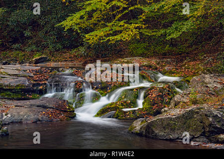 Cascata (Laurel Creek Falls) su Laurel Creek Road, Great Smoky Mountains National Park, Tennessee, Stati Uniti d'America Foto Stock