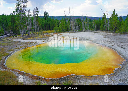 Vista della gloria di mattina piscina nel parco nazionale di Yellowstone, Stati Uniti Foto Stock