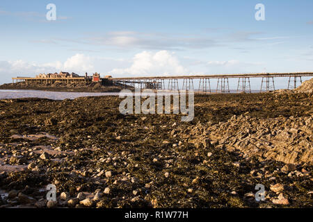 Un piccione guarda oltre il Grade II Listed Birnbeck Pier, progettato e costruito da Eugenio Birch e aperto nel 1867. È chiusa al pubblico nel 1994 per Foto Stock