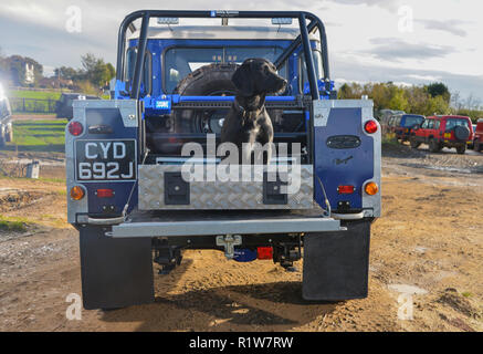 Cane nero nel retro di un 1973 Land Rover Serie 2 88' SWB pick up British off roader Foto Stock